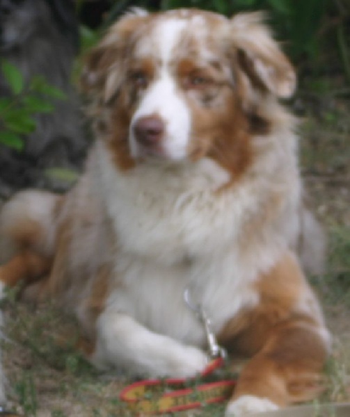 Vitalia Du Domaine De La Camosciara