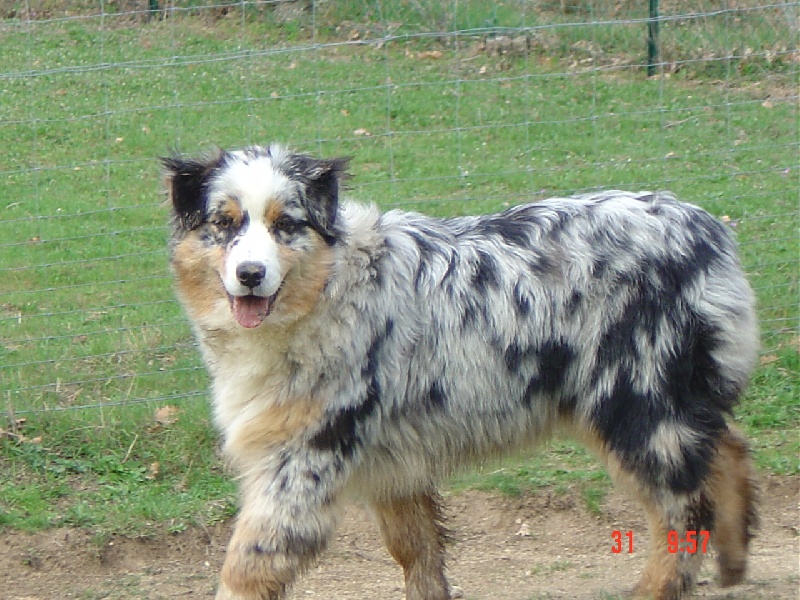 Vals Du Domaine De La Camosciara