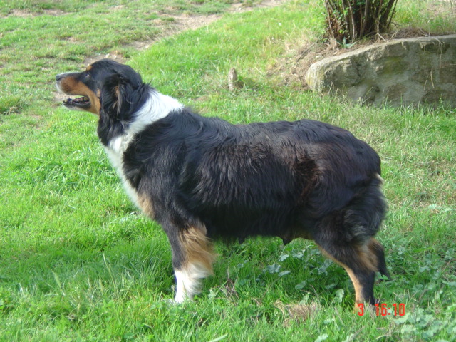 Reglisse Du Domaine De La Camosciara