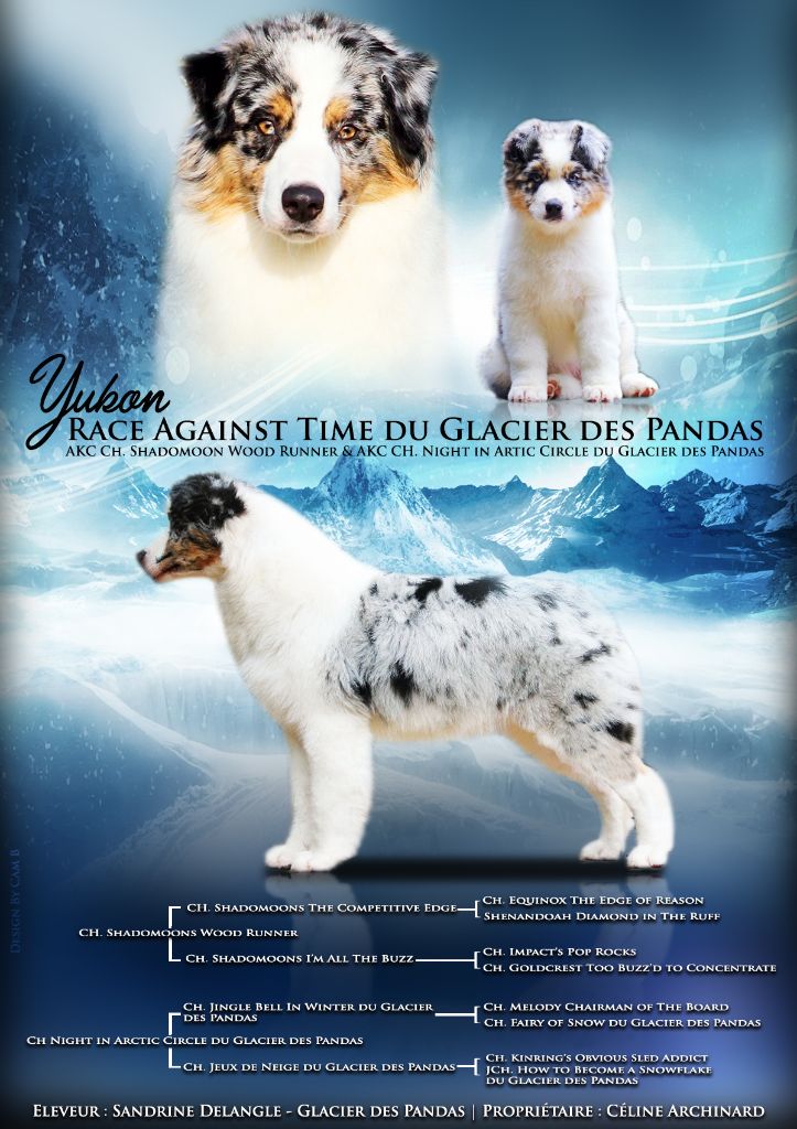 CH. Sr race against time du glacier des pandas